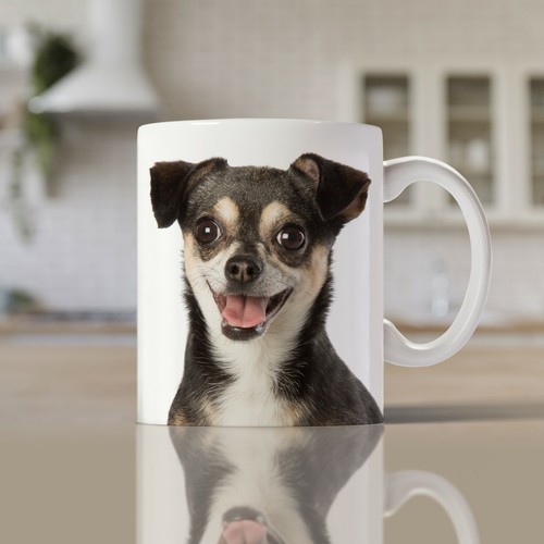 Chihuahua mug close - |, a
