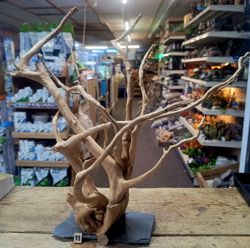 Red moor wood root - wood, slate