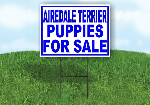 Airedale terrier puppies for - puppies,