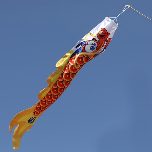 Dragon wind sock - wind, garden