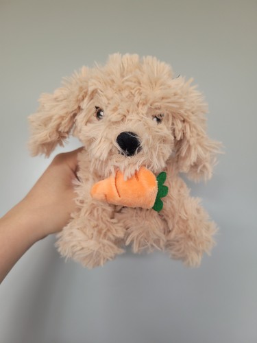 Tesco curtis the cavapoo with - the,