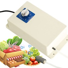2000mg/h Ozone Generator