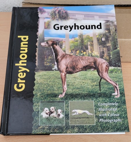 Greyhound book juliette - book, by