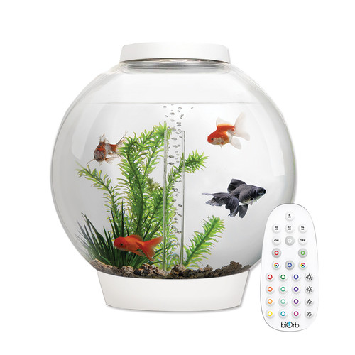 Biorb classic 30l white - classic,