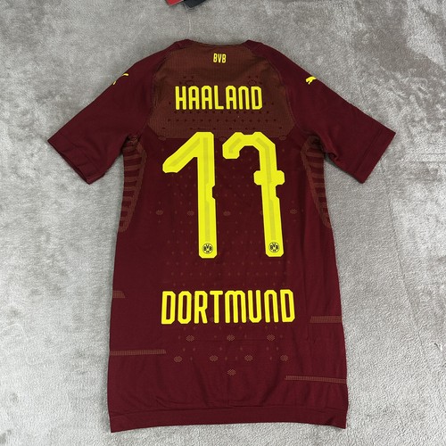 Borussia dortmund football - borussia,
