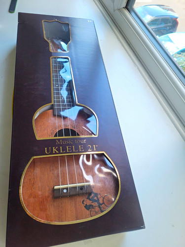 Music tour acoustic string - tour,