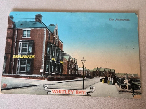 Vintage postcard the promenade - postcard,