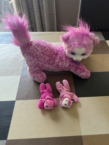 Kitty surprise pink - kitty,