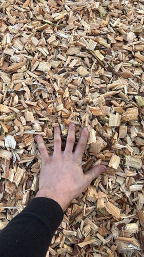 Wood chip - wood,
