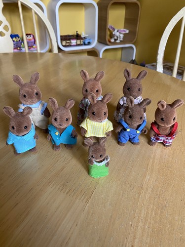 Vintage sylvanian families - vintage,