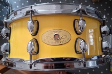 Premier Artist Maple Snare Drum 14" x 5.5"