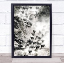 Great Migration Nature Animal Wild Wildlife Wildebeest Wall Art Print