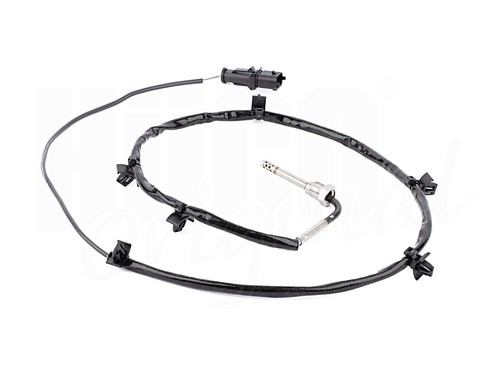 Exhaust gas temperature - gas, sensor