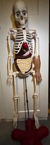 Billy bones national - billy,