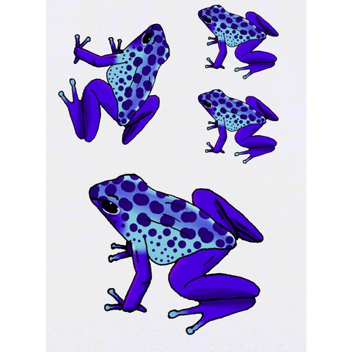 Poison dart frog - x,