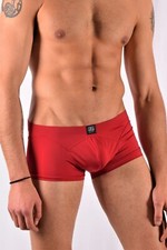 Gregg Homme Mens Boxer Brief