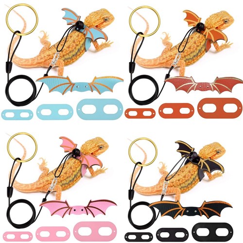 Lizard harness leash bearded - lizard,