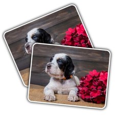 2x Vinyl Sticker Blue Eye