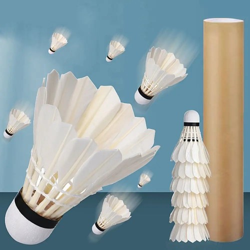 12pcs training goose - 12pcs,