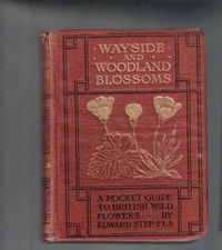ANTIQUARIAN ,WAYSIDE AND