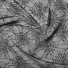 Halloween Spider Web Lace Mesh