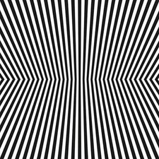 THE VACANT LOTS - DAMAGE