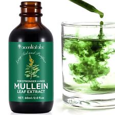 Mullein Leaf Extract Drops