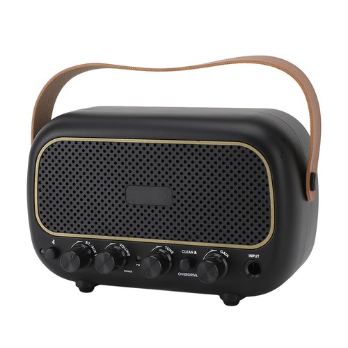 Mini guitar amp - guitar, dual