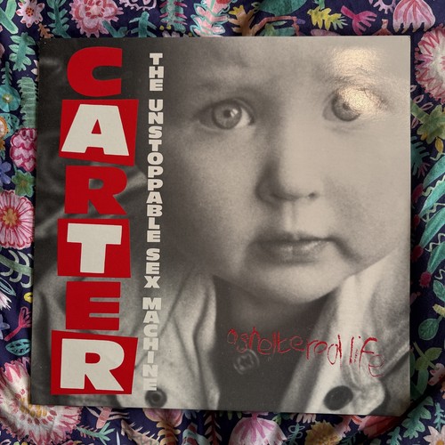 Carter usm sheltered - carter, life