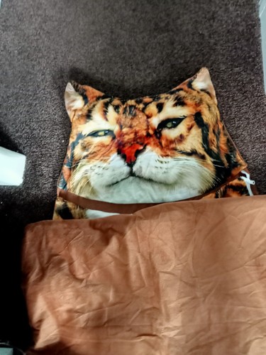Original snuggle sac cats - snuggle,