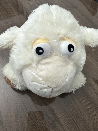 Adorable cuddly white sheep