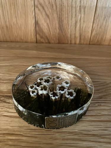 Isle wight studio glass - wight,