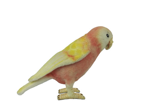 Hansa bourkes parrot 7637 - parrot,