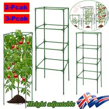 Tomato Cage Plant Support