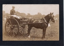 RP POSTCARD HORSE & TRAP POSSIBLY ROCHFORD AREA PU1912