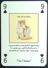 1 x playing card Magnificent