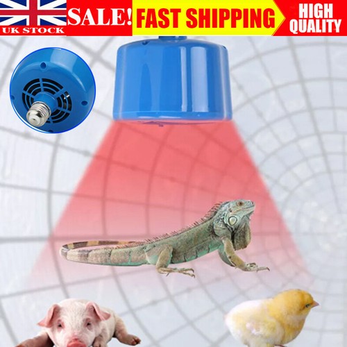 Heat lamp bulb - uk,