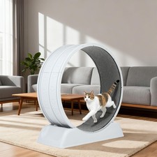 Cat Exercise Wheel Cat