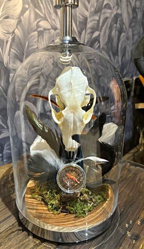 Glass dome cloche lamp - dome, fox