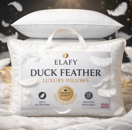 Premium quality luxury duck - quality,
