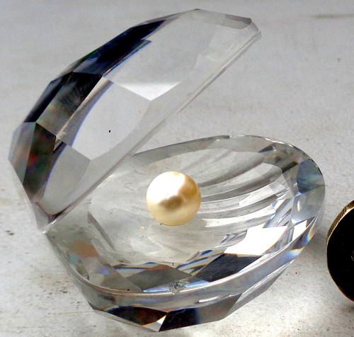 Swarovski crystal oyster shell - crystal,