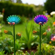 Bird Feeder with Colourful