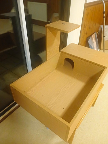 Tortoise table with lamp - with,
