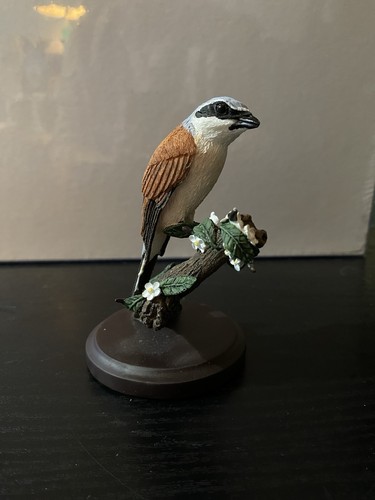 Country bird collection - country,