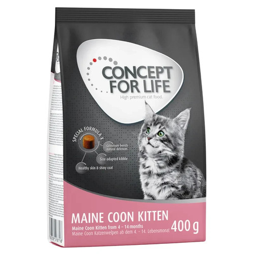 Concept for life - life, coon
