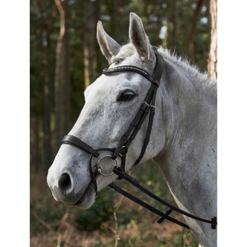 Gfs harmony bridle - harmony, havana