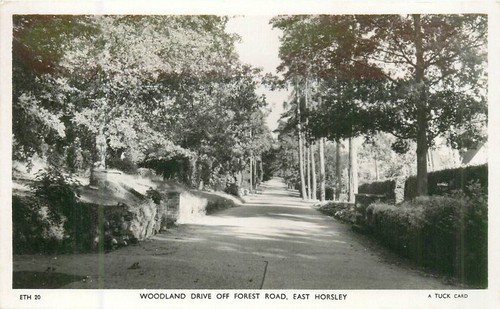 East horsley surrey england - surrey,