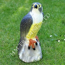 Large falcon bird scarer - falcon,