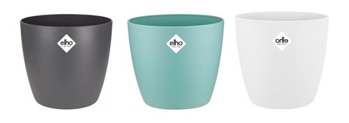 Flower plant pots - flower,