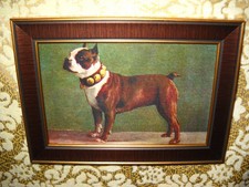 BOSTON TERRIER PROFILE 4 X 6